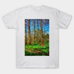 Little Giant Dawn Redwoods T-Shirt